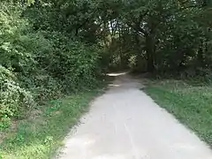 Fin du revêtement à l'entrée dans le bois de Granville à Limeil-Brévannes