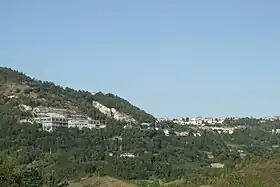 Fiorentino (commune)