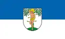 Drapeau de Blieskastel