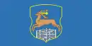 Drapeau de Hrodna / Grodno