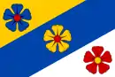 Drapeau de Plavsko