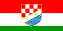Drapeau de Canton de la Posavina