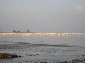 Image illustrative de l’article Lac Abbe