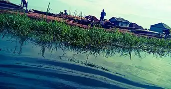 Fleuve Ouémé (Dangbo)