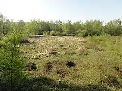 Le carreau de fosse vu depuis le terril.