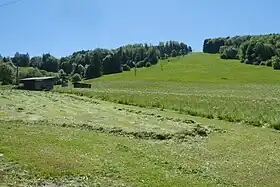 Vue aérienne de la station.