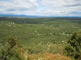 Image illustrative de l’article Forêt de Banne