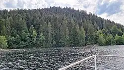 Image illustrative de l’article Forêt de Gérardmer