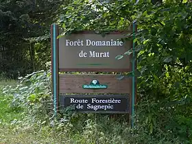 Image illustrative de l’article Forêt domaniale de Murat
