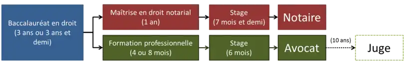 Schéma montrant les deux cheminements classiques dans le domaine juridique au Québec : le notaire et l'avocat.