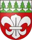 Blason de Forst
