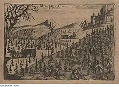 Taille et palissage de la vigne.