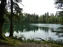 lac de la Maix à Vexaincourt