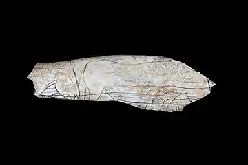 Cheval et auroch gravés,diaphyse d'os