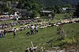 Fête de la Transhumance de L'Espérou dans les Cévennes gardoises, en 2009.