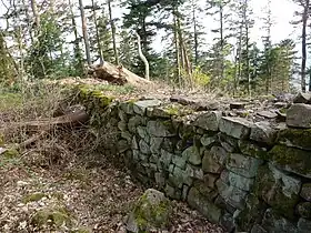 Château du Petit Ringelstein.