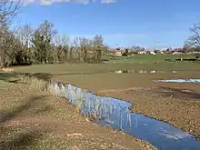 Une prairie dont le sol est majoritairement composé de boues avec des jeunes pousses de plantes, il y a d'ici et là des zones d'eau.