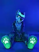 La fursuiter française Kopa.