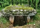 Dolmen de Marcigaliet no 1