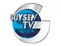 Logo de Guysen TV du 2002 au 2 juin 2013.