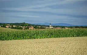 Paysage du Sundgau, autour de Galfingue au centre-sud (au fond, la Forêt-Noire).