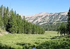 L’image montre la vue au-dessus de la cabane de Cabin Creek dans la région du lac Hebgen de la forêt nationale.