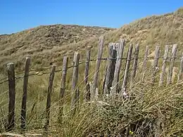 Ganivelles de protection