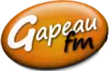 Logo depuis 2011