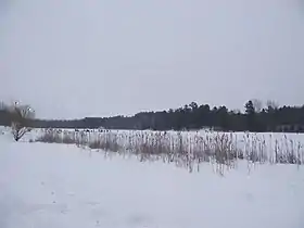 Image illustrative de l’article Parc du Lac-Beauchamp