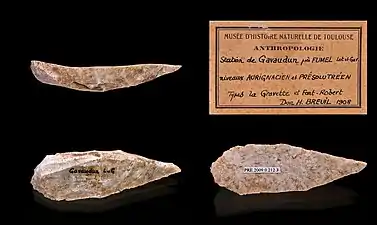 Grattoir - Aurignacien - Muséum de Toulouse