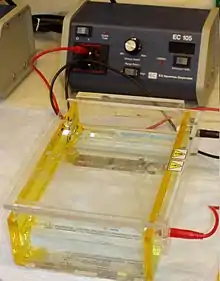 Appareil à électrophorèse sur gel d'agarose