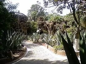 Image illustrative de l’article Zoo de Gizeh