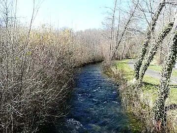 La Glane en amont du pont de la route de Leymonie.