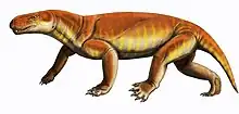 Reconstitution de Gorgonops whaitsi.