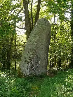 Grand menhir de Kerangosquer