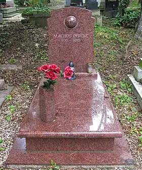 Image illustrative de l’article Ferenc Machos