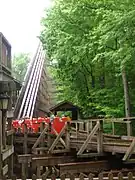 Grizzly à Kings Dominion