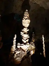 La « Pomme de pin ».