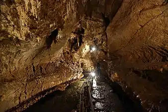 Galerie de la grotte de Sainte Lucie Inférieure.