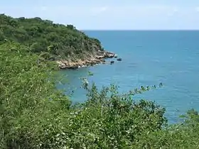 Image illustrative de l’article Forêt d'État de Guánica