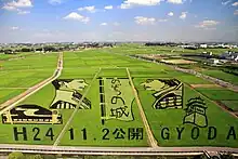 Photo couleur d'une rizière dans laquelle les plants de riz de couleurs différentes font deux profils de personnages historiques.
