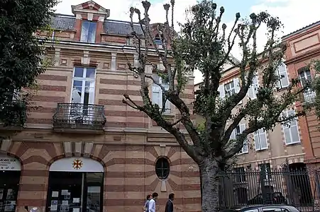Les élévations de l'hôtel Potier de La Terrasse sur la rue Théodore-Ozenne.