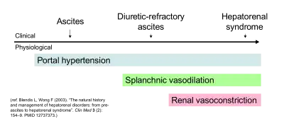 Diagram showing hypothesized correlation between clinical features and pathophysiology of ascites and hepatorenal syndrome.