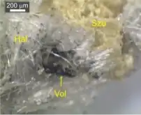 Image illustrative de l’article Szomolnokite