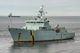 illustration de MPV Hirta