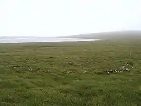 Image illustrative de l’article Hjaltadans