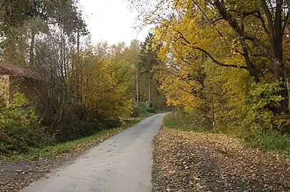 Route traversant la commune.