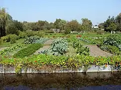 Hortillonnages d'Amiens (France).