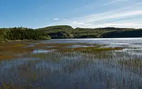 Image illustrative de l’article Hreðavatn