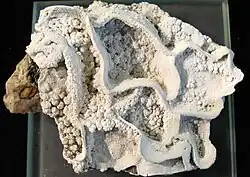 Image illustrative de l’article Hydrozincite